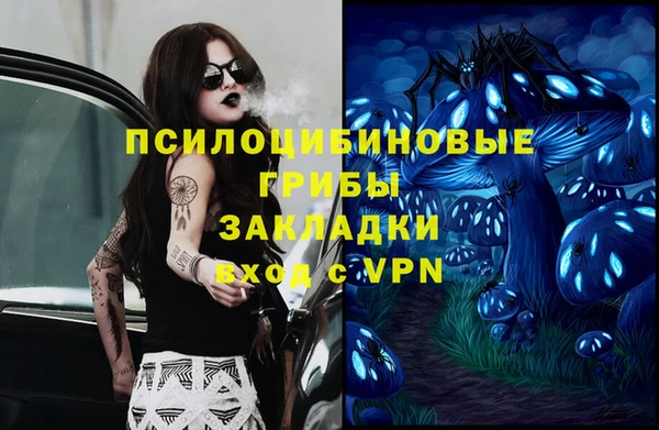 PSILOCYBIN Горнозаводск