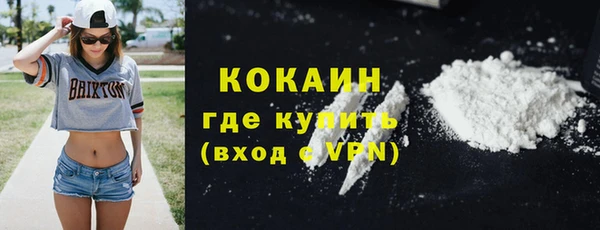 PSILOCYBIN Вяземский