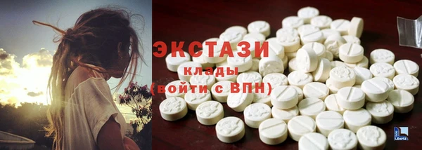 PSILOCYBIN Вяземский