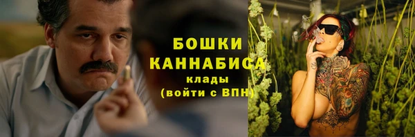 PSILOCYBIN Горнозаводск