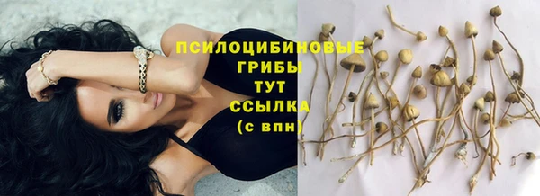спиды Вязьма