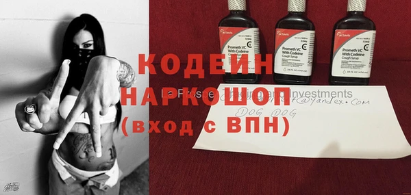 PSILOCYBIN Вяземский