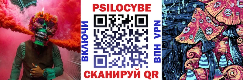 Купить закладки  Кашира  Псилоцибиновые грибы GOLDEN TEACHER 